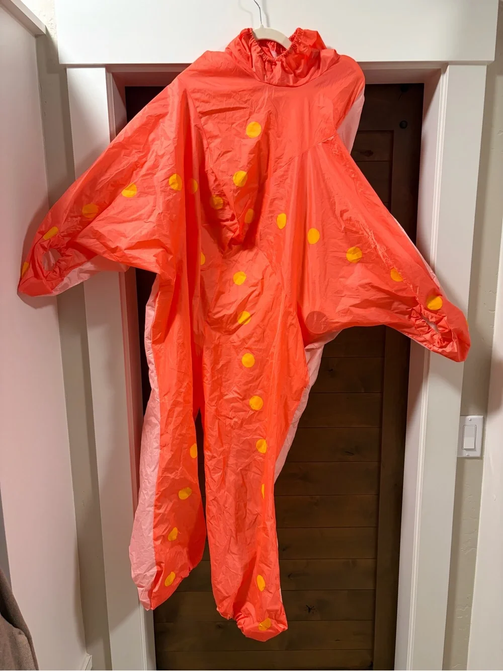 Kids blow up starfish costume